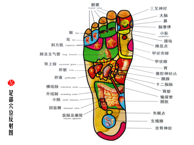 文章附图